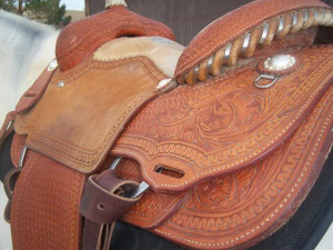 Sherry Cervi Quotes Martin's sherry cervi saddle