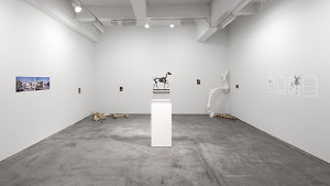 Hans Haacke at Paula Cooper Gallery, New York, 2014