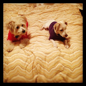 best friends, and now they act like each other!!!)