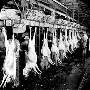 published the jungle a sensationally graphic account of the