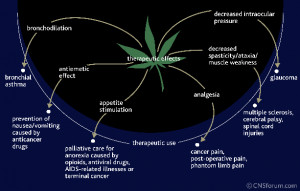 Marijuana Is Medicine