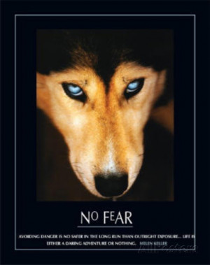 No Fear Hellen Keller Quote Dog Art Print Poster Mini Poster