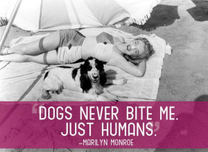 quotes about pets after reading these quotes you will love your pet ...