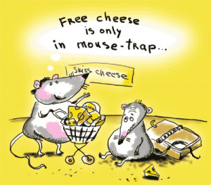 funny cheese pictures