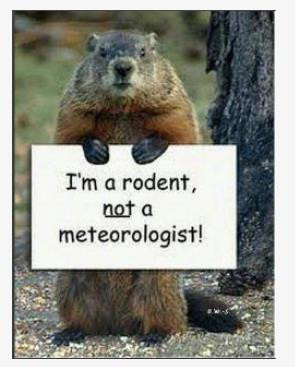 Happy Groundhog Day! Find out Punxsutawney Phil's Prediction for 2013!