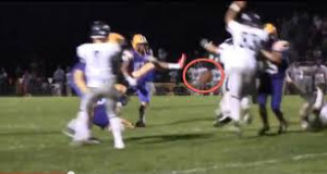 What do you think about your fellow Warhawks?