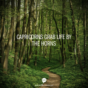 Capricorns grab life by the horns
