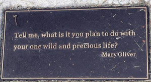 Found on bitsotruth.blogspot.com