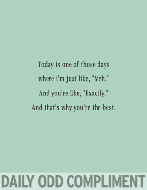 Daily Odd Compliments