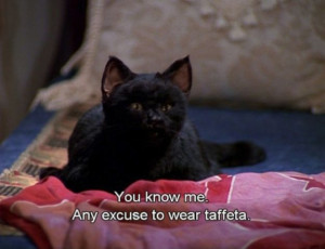 The 40 Greatest Things Ever Said By Salem The Cat. Probably the best ...