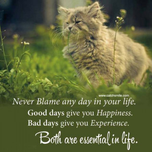 Never Blame Any Day In Your Life good days give you happiness bad days ...