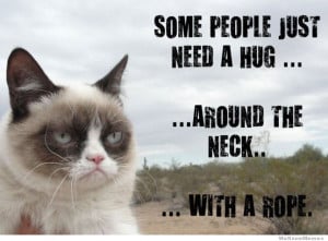 Some people just need a hug… around the neck… – Grumpy Cat