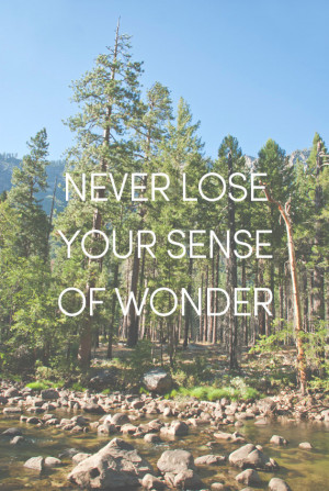 Never lose your sense of wonder - quote on photo of Woodlands