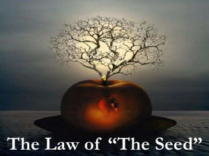 PPT ON ATTITUDE ( THE LAW OF SEED)