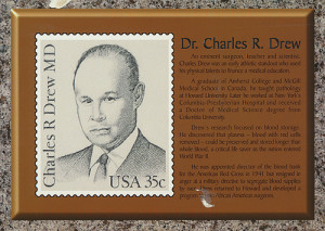 Dr Charles Drew