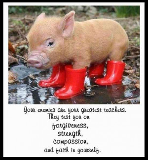 saying, cute, pig, forgive, strength, compassion, faith,red, boots,
