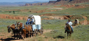 Wyoming cattle herding