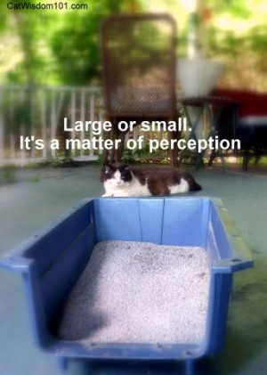 Cats and small litter boxes.