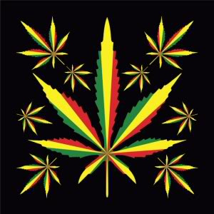 RASTA WEED Picture