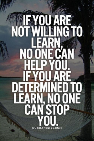 Quote If You Are Not Willing To Learn