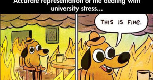 dealing with college stress | haaa | Pinterest