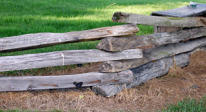 Straddling the Fence sermon, Straddling the Fence sermon by Sam