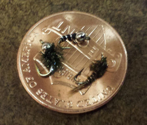 The minutiae of winter....