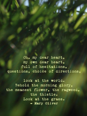 ... Quotes, My Heart, Mary Oliver Quotes, Uncertain Quotes, Heart Quotes