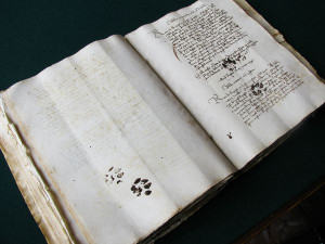 Inky paw prints presumably left by a curious kitty on a 15th century ...