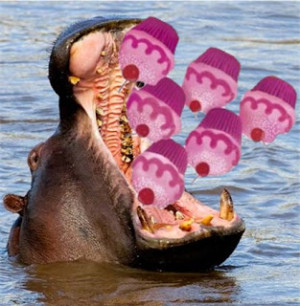 insurance quotes online hippo