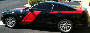 Mustang Racing Stripe