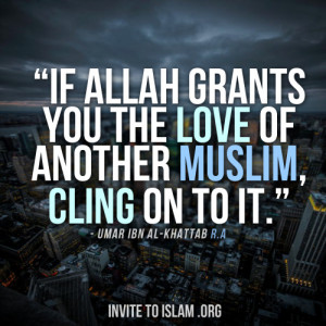 If Allah grants you the love of another Muslim, cling on to it.”