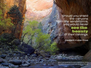 Should you shield the canyons from the windstorms, you would never see ...