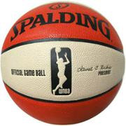 Official WNBA Basketball