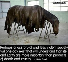 horse slaughter is cruel !!
