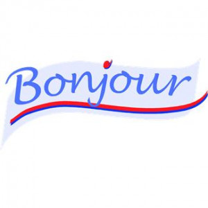 French phrases in literature