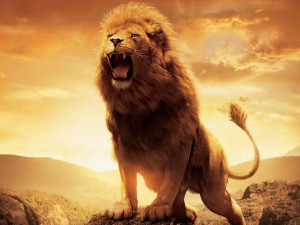 Imagenes animales leones aslan