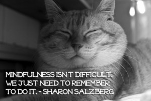 MINDFULNESS QUOTES: Thich Nhat Hanh, Ajahn Chah, Sharon Salzberg and ...