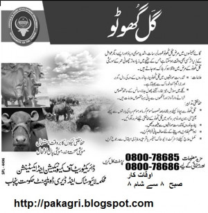 Benefits Milk Urdu