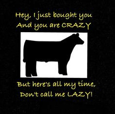 Show Cattle Quotes Haha love show animals!