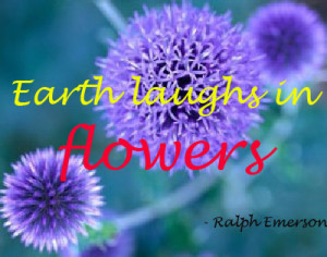 Earth Laughs In A Flower ” – Ralph Emerson ~ Nature Quote