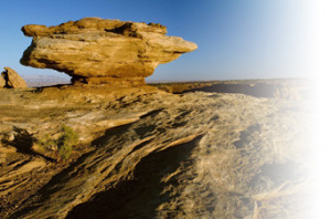 new mexico renters insurance guide from the nm renters insurance ...