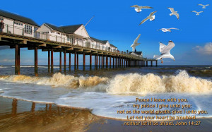 Peace I leave with you; my peace I give you. I do not give to you as ...