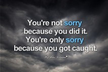 love-hurts-quotes-you-are-not-sorry-because-you-did-it_213_.jpg