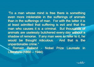 The photo collages were made by me using clip arts and photos from ...