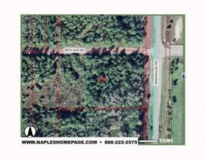 mansions in florida. Mansion 4 For Sale in