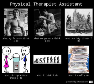 physical therapist assistant meme pta meme
