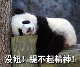 搞笑图片笑死人，QQ表情图片