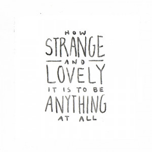 loipsum:Day 14 - John Green Quote - The Fault In Our Stars© Lauren ...