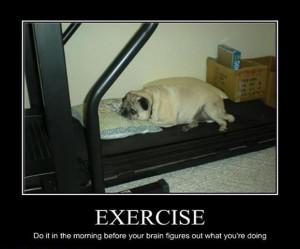 Exercise – Do It In The Morning Before Your Brain Figures Out What ...